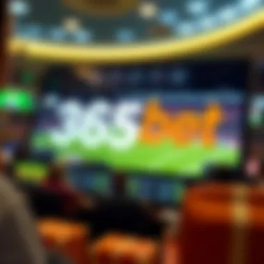 User-friendly interface of 365bet platform