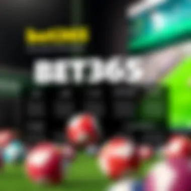 Overview of Promotions Offered by Bet365 Infographic detailing various Bet365 promotions