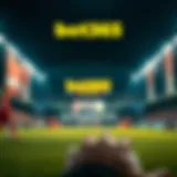 bet365.e에 대한 포괄적 조사와 해석 Introduction