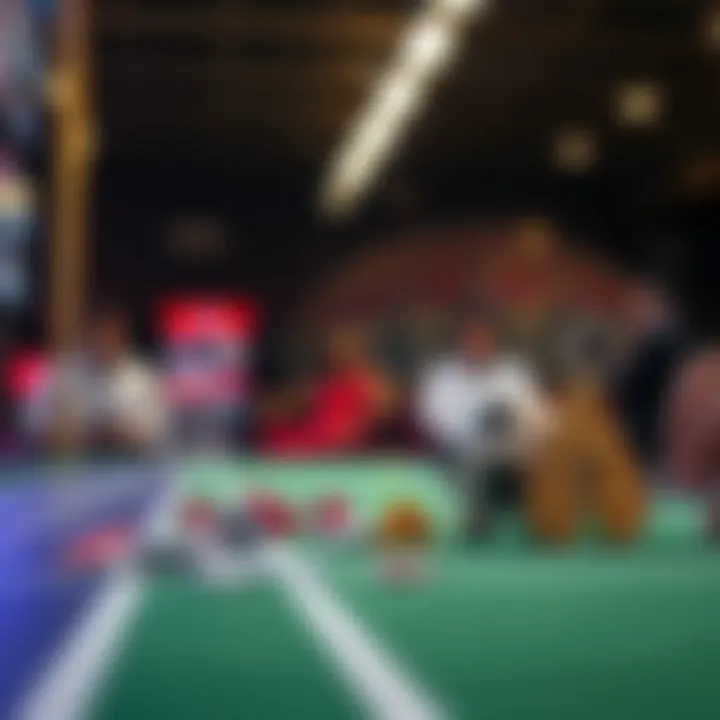 Regulatory landscape of betting sites