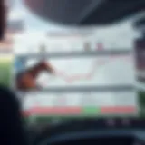 Insights into Betting Strategies A detailed diagram of horse racing betting strategies