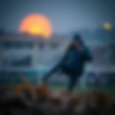 Notable 온라인 베팅 소프트웨어의 이��해: 본질과 응용